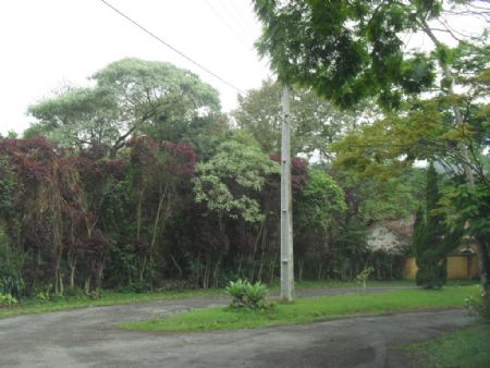 image01