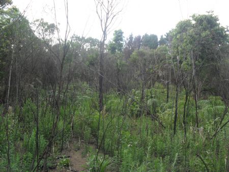 image01