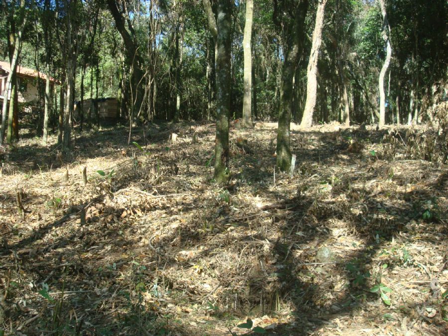 image01