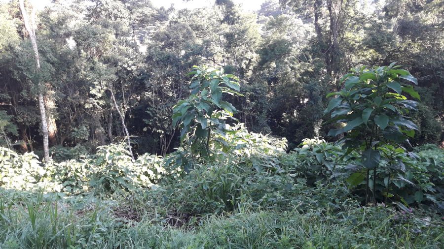 image01