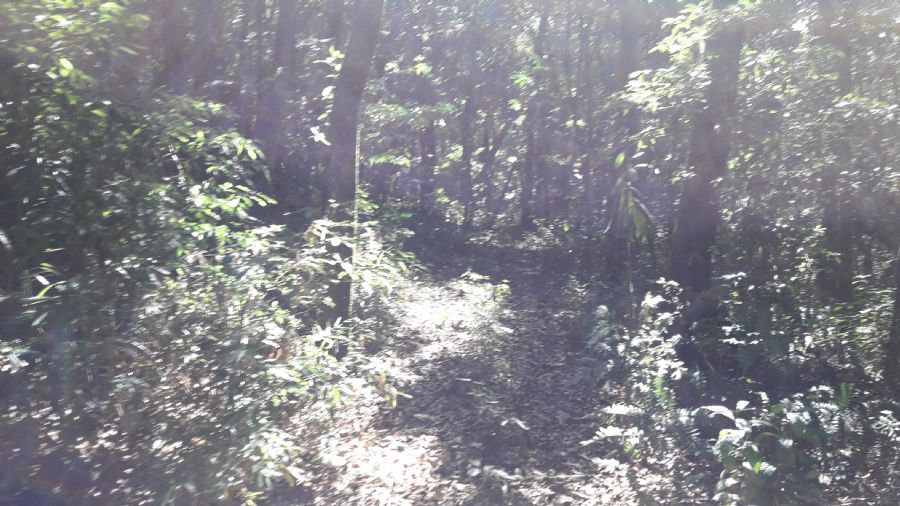image01