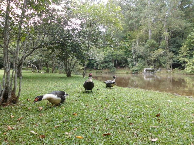 image01