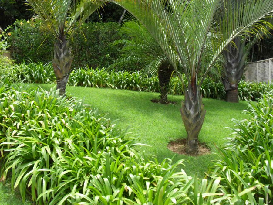 image01