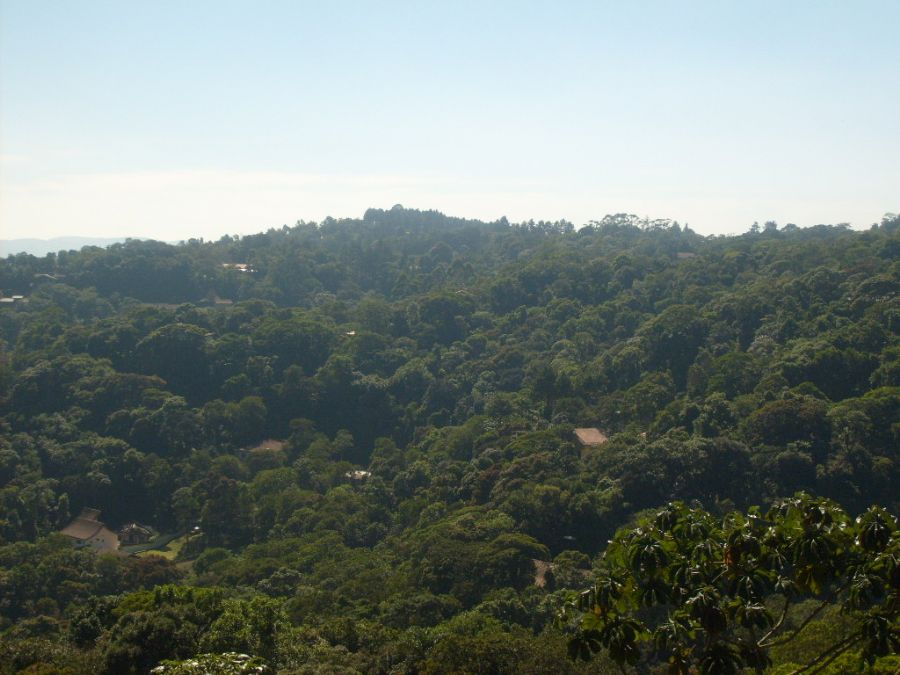 image01